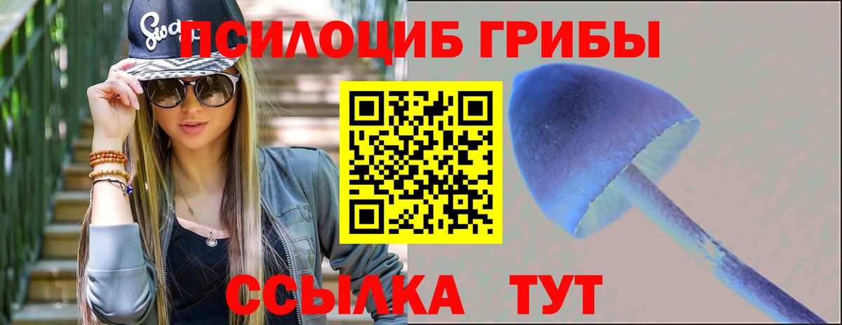 Псилоцибиновые грибы ЛСД Усть-Джегута